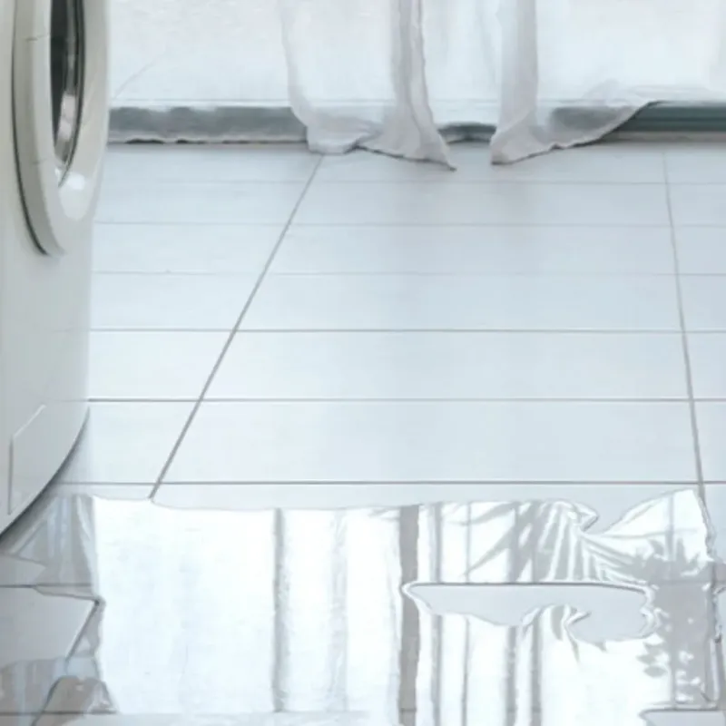 Appliance Leak Cleanup in Princeton, IL