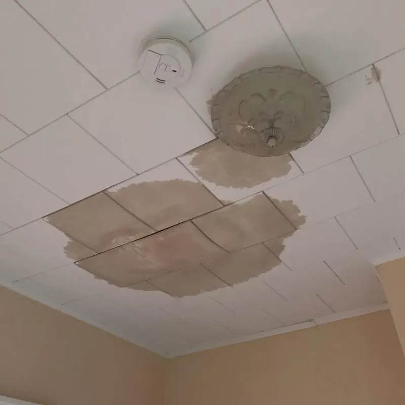 Ceiling Water Damage Repair in Princeton, IL