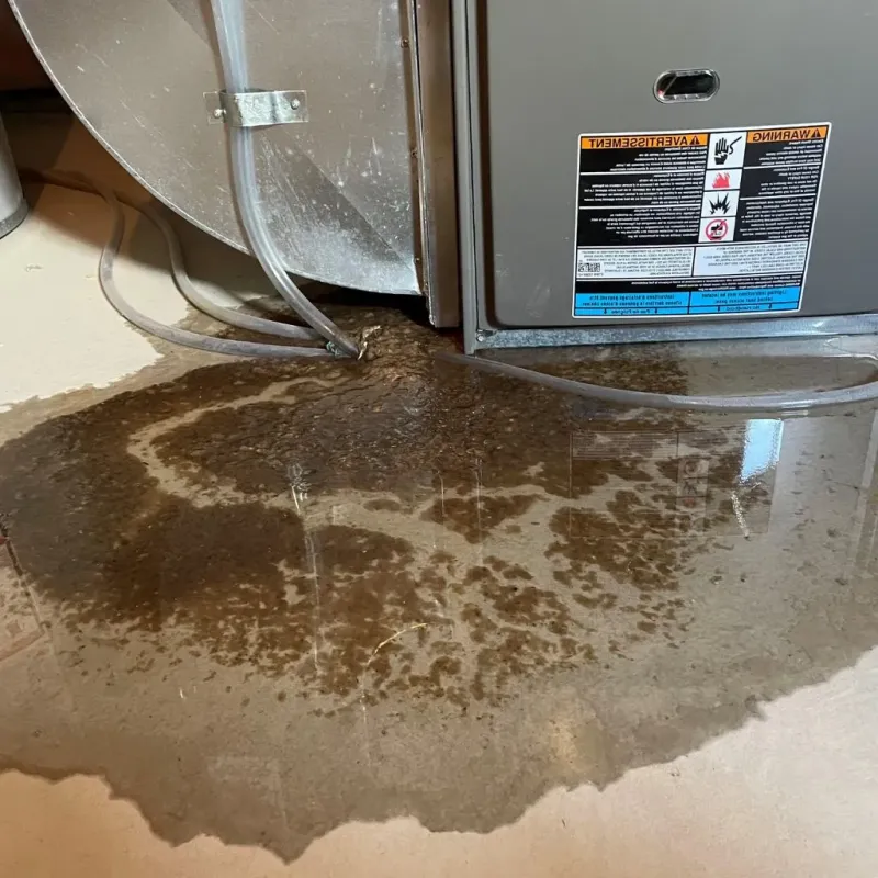 Pipe Burst and Leak Restoration in Princeton, IL