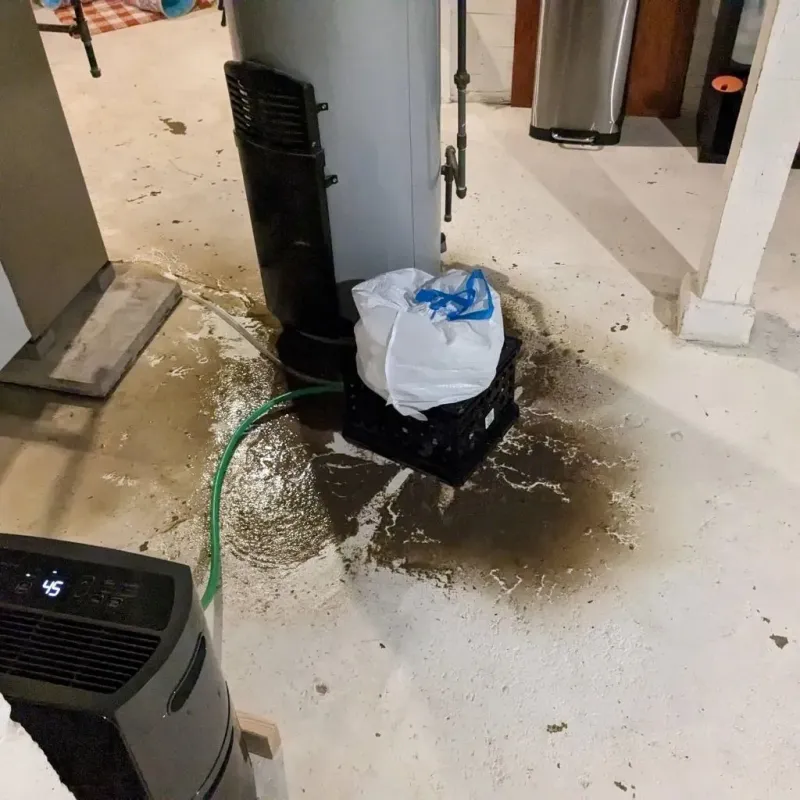 Sewage Backup Cleanup Service in Princeton, IL